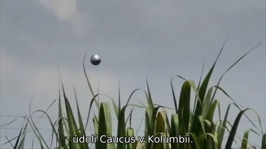 Koule Yumbo nad cukrovou třtinou Koule Yumbo nad cukrovou třtinou